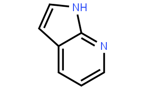 7-氮杂吲哚