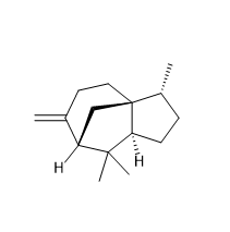 B-柏木烯