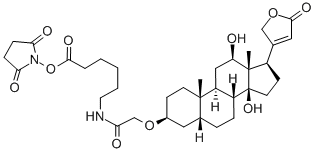 地高辛NHS酯