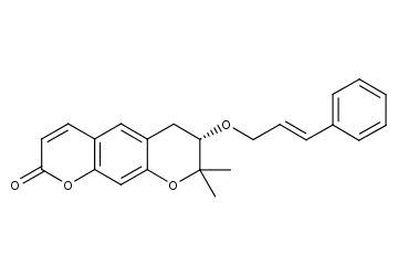 Progerinin